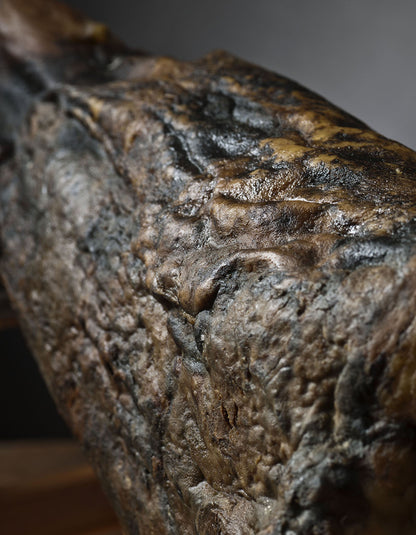 Jambon entier ibérique Cebo de Campo